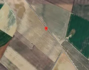 Explotación VITÍCOLA de 8,24 Ha en D. O. Toro