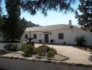 Finca rustica olivar y recreo