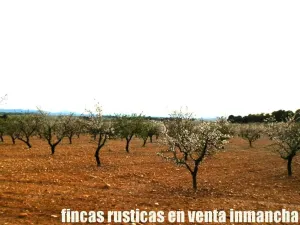 finca en venta 125 has. labor-almendros-monte