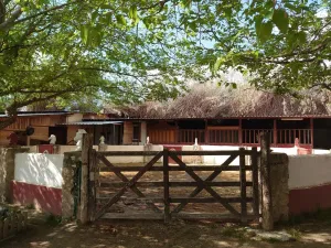 Centro Hípico Reformado en Granada – Inversion asegurada
