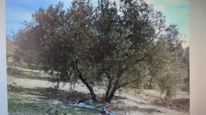 Vendo finca CUEVAS DEL CAMPO