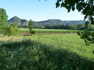 Finca de regadio concesión agua hasta 2060