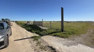 18 hectáreas de riego en el puerto de santa m