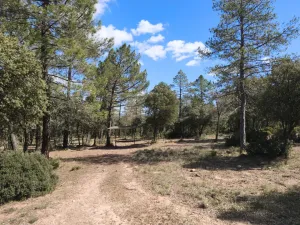 FINCA CINEGETICA  CERCA DE VALENCIA REF. 1541