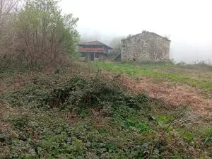 FINCA RÚSTICA CON HÓRREO Y CASA PARA REHABILI