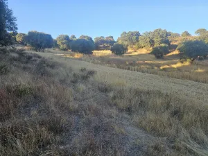 Bonita finca de recreo a 30 minutos de Madrid