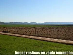 finca en venta 366 has. labor viña en Toledo