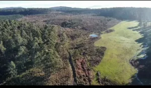 Finca de 20.000 m² Os Muros