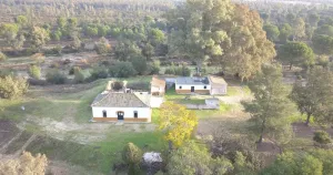 Finca de 159 ha en Doñana /Coto privado