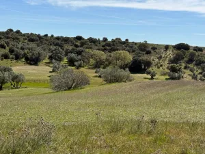 Bonita finca de recreo a 30 minutos de Madrid