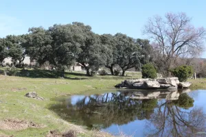 MADRID RECREO CINEGETICA Y CABALLOS  REF 1540