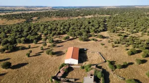 Finca Rústica en Pizarral, Salamanca