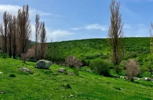 Finca Ganadera en El Espinar Segovia