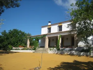 Finca naranjos y olivar,gran casa y dehesa