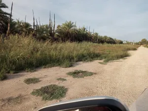 Finca en Elche pedanias