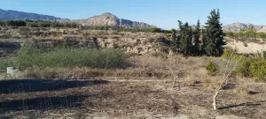 Huerta con casa de aperos, punto de luz y aljibe en los tollos, Archena.