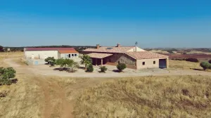 Venta de finca agropecuaria en la provincia de Ciudad Real