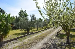 Finca rustica La palma del Condado