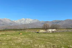 Finca rústica de 4Ha cerca de Candeleda