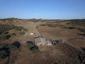 Finca Rústica de 80 hectáreas en el  Andevalo