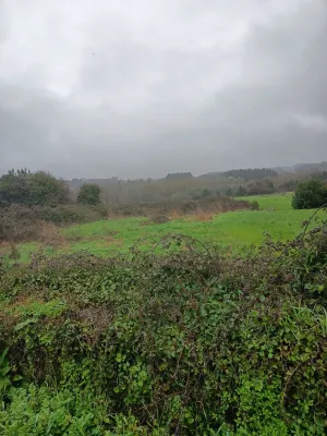 Se venden fincas, prados, robredales