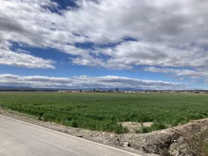 Finca agrícola de regadío en la vega Granada