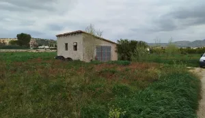Finca rústica en Xerta con acceso directo al río Ebro