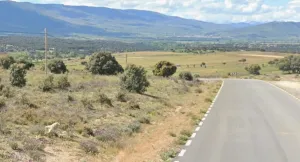 FINCA RUSTICA CON LUZ