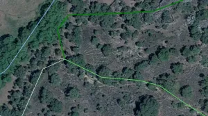 FINCA RUSTICA-ENCINAR