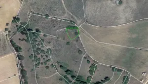 VENTA HUERTO CON AGUA