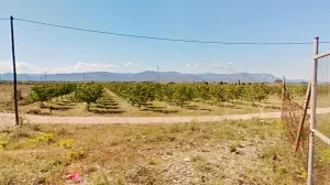 Explotación agropecuaria en producción de 21h