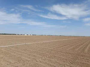 Se vende finca de regadío.