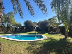 Finca en Dolores - Alicante
