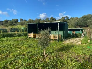 TARIFA FINCA RÚSTICA