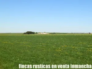 finca en venta 295 has. labor secano Albacete