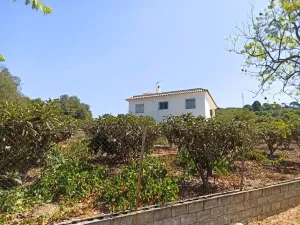 Finca rústica en Estepona - Malaga
