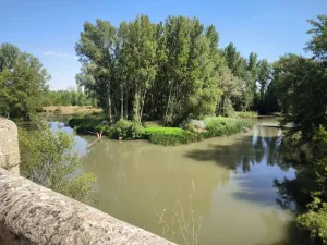 Finca en Palacios de Riopisuerga