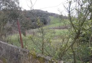 Finca en Ramales de la Victoria