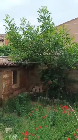 Finca Melgar de Fernamental