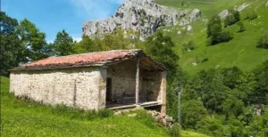 Finca en San Roque de Riomera