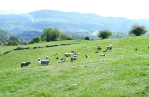 Finca en Corvera de Toranzo