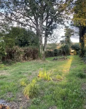 Se vende terreno rústico en Fene