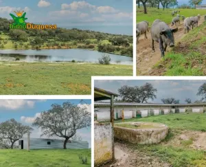 Finca de recreo en Huelva (junto a Portugal).