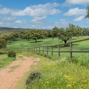 Finca en explotacion Ciudad Real Ref. 1545