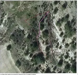 Terreno forestal en "Caño Fuente Nacida"