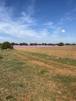 finca en venta