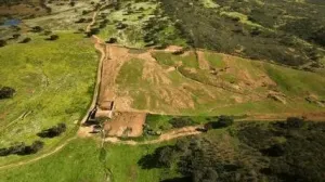Dehesa Tamujoso | 650 ha de dehesa productiva con explotación ganadera y cinegética en Huelva