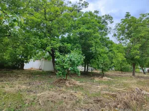 Finca rustica en Durcal, Marchena