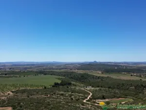 finca en venta 544 has. labor viña caza mayor