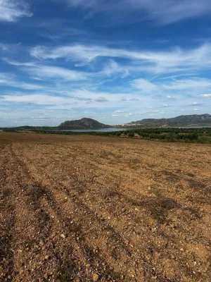 Excelente finca de secano en Alange